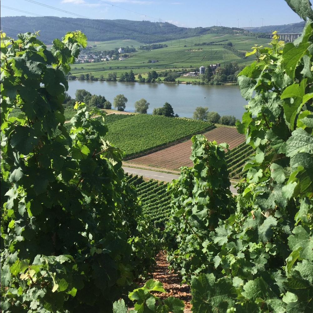 Meet your Posher, Paul